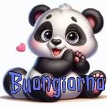 Buongiorno