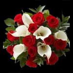 Flower is for you🌺