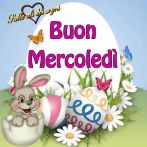 Buon Mercoledì - getsticker.com