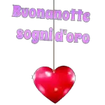notte ani