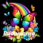 Sole.. Cuore.. Buongiorno