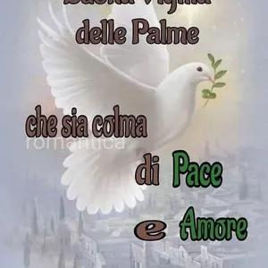 che sia colma di Pace e Amore - getsticker.com