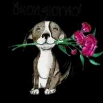 Un Dolce Risveglio 🛌💐