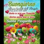 pasquetta 