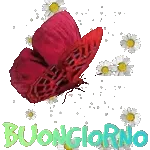 BUON GIORNO