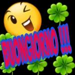 Serena notte,mia amore