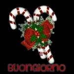 BUONGIORNO
