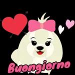 Buongiorno veloce! Ogni minuto conta oggi