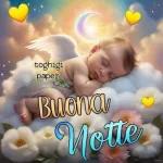 notte 