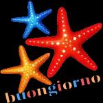 Un favoloso Buongiorno a tutti Buona Domenica