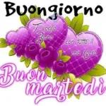 buon martedì  a tutti