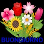 fiori stickers🌸🌸