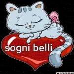 Ho un po’ sonno...