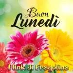 Buon lunedi