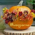 Buongiorno
NE