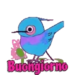 Buongiorno