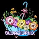 Buon Giorno