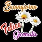 x8668 BUONA GIORNATA