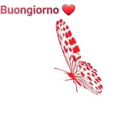 buongiorno gif
