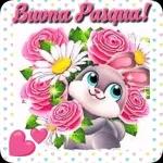 CHE SAGGIETA
CHE PROFONDEZZA