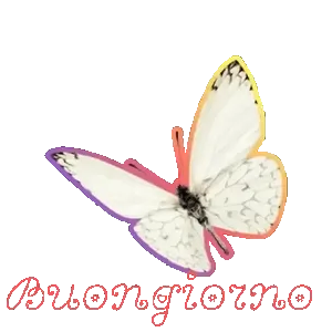 ZywXbD