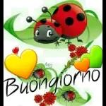 Buongiorno