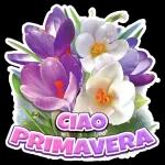 Buongiorno
Caffé
per te
CO
Apl