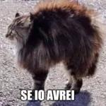 ?
剛剛睡醒 什麼事