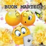 buon martedì  a tutti