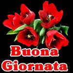 Buona mattinata