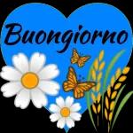 Buongiorno