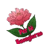 Per te Buongiorno