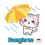 Buongiorno