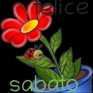 YqdLf0