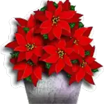 natale🎅🤶🧑🏻‍🎄