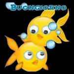 Buongiorno