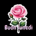 Happy Valentine's Day