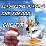 Fa così freddo❄️