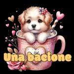 CHE STANCHEZZA AMICI!  BUONANOTTE