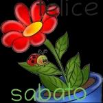 Buona Domenica Delle PALME