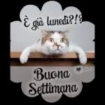 lunes