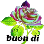 BUONGIORNO!