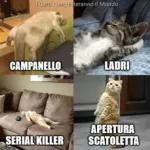 BUON FERRAGOSTO