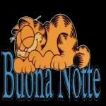 Serena notte