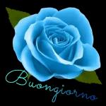 BGiorno