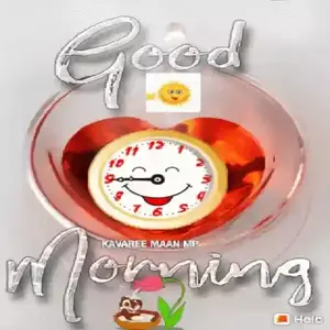 Bn8NSn