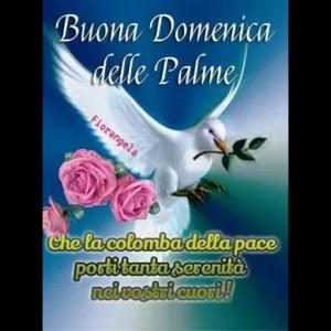 Buona Domenica delle Palme Fiorangela Che la colomba della pace porti tanta serenità nei vostri cuori! - getsticker.com