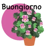 play_circle_outline heartsHow to add to WhatsAppInformation