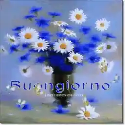 Buongiorno