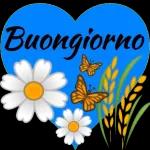 Buongiorno